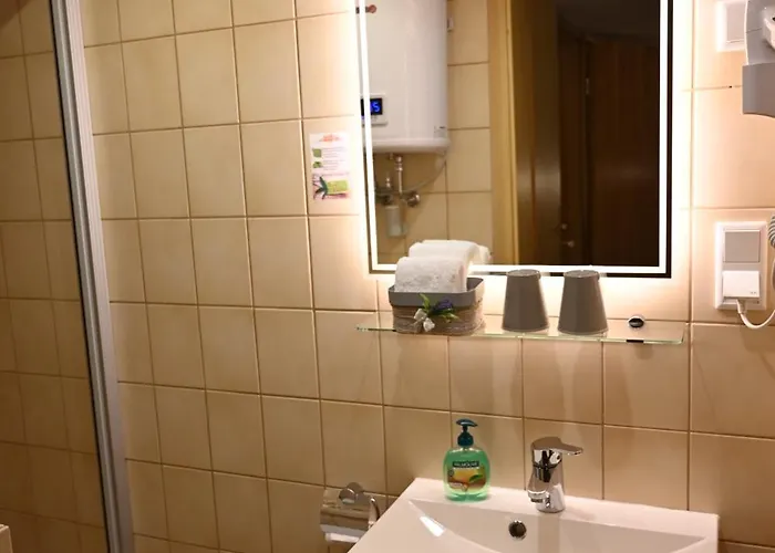 Altstadthotel Garni Frankfurter Hof Гостевой дом